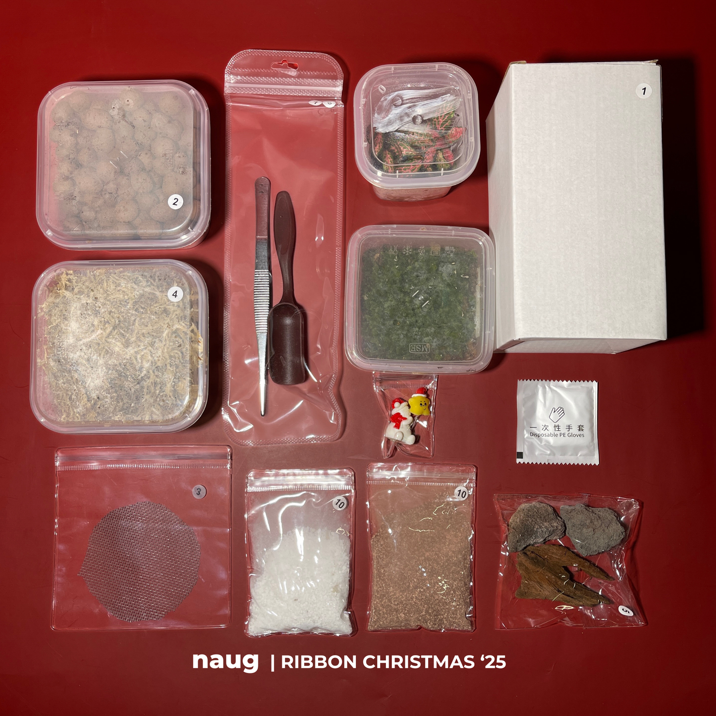 Secret Santa Soilless Terrarium DIY Kit