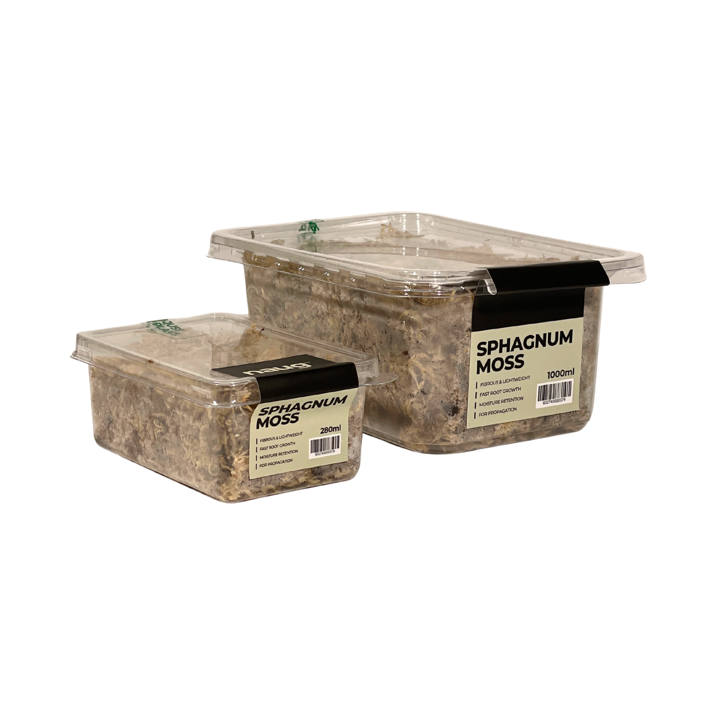 Terrarium Supplies - Sphagnum moss (Dried)