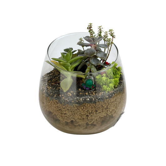 Succulent Terrarium Zen Series