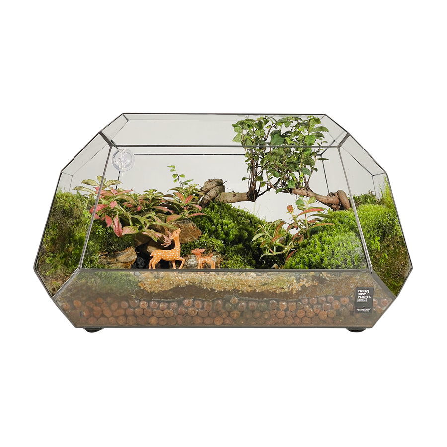 Geometric Terrarium 41CM x 24CM x 20.5CM