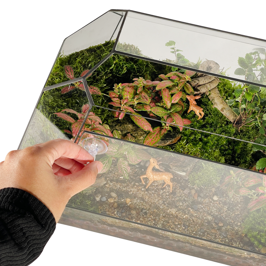 Geometric Terrarium 41CM x 24CM x 20.5CM