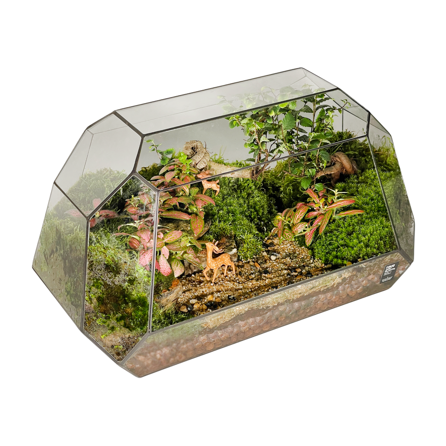 Geometric Terrarium 41CM x 24CM x 20.5CM