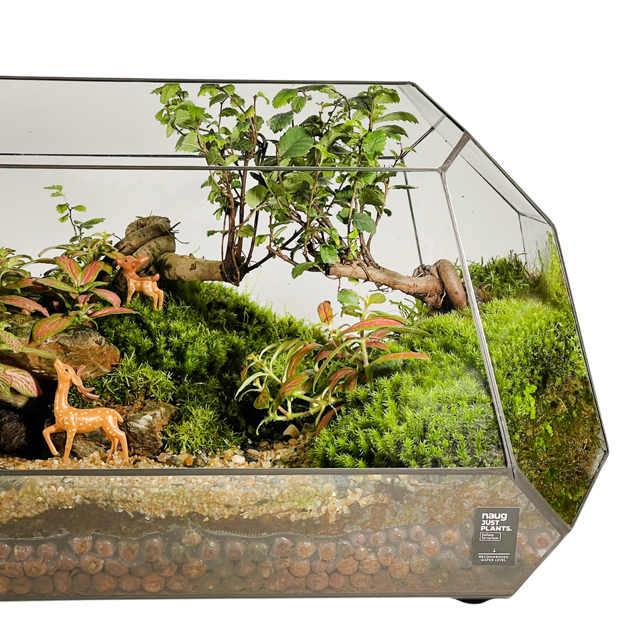 Geometric Terrarium 41CM x 24CM x 20.5CM