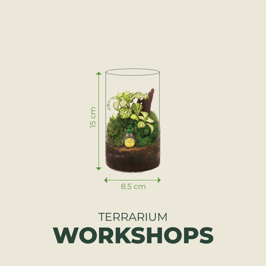 Basic Terrarium 15cm x 8.5cm